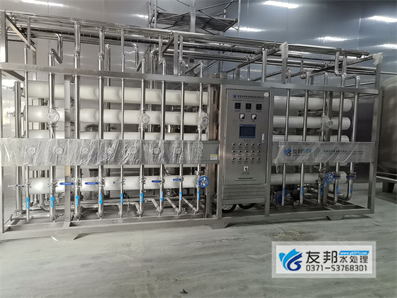 焦作溢玛食品科技20吨水处理设备安装调试圆满完成