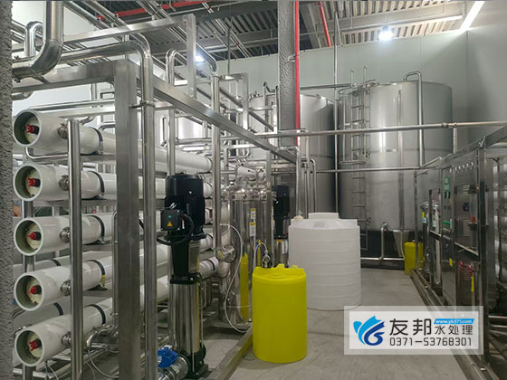 河南笑呵呵饮料有限公司20吨双级反渗透设备